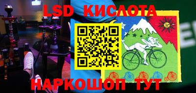 прущие грибы Ирбит