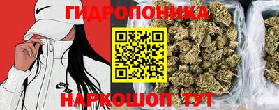 прущие грибы Ирбит
