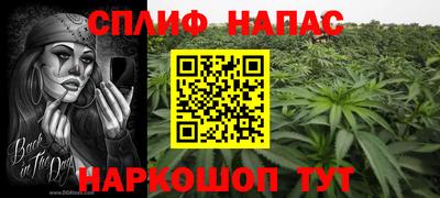 прущие грибы Ирбит