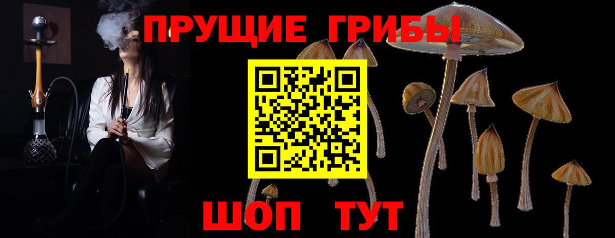 даркнет сайт  Псилоцибиновые грибы Psilocybe  Вход с VPN  Псилоцибиновые грибы Magic Shrooms  Ковров 